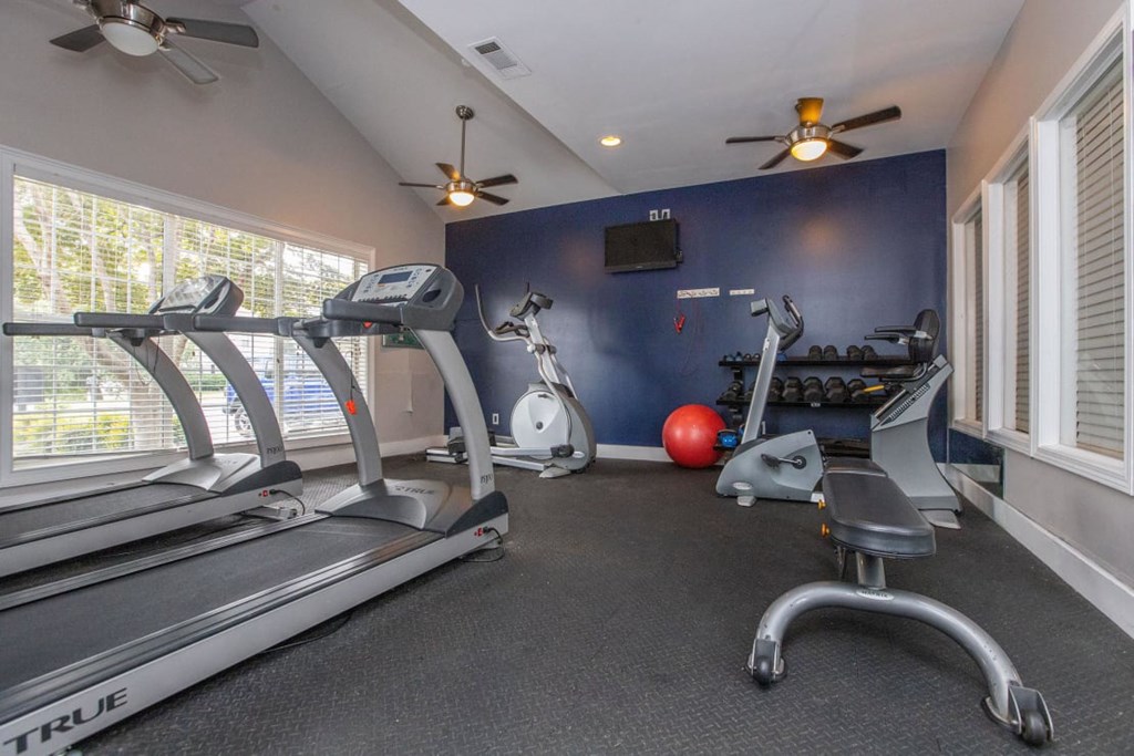 A home gym with a TRUE treadmill, exercise bike, and other equipment.
