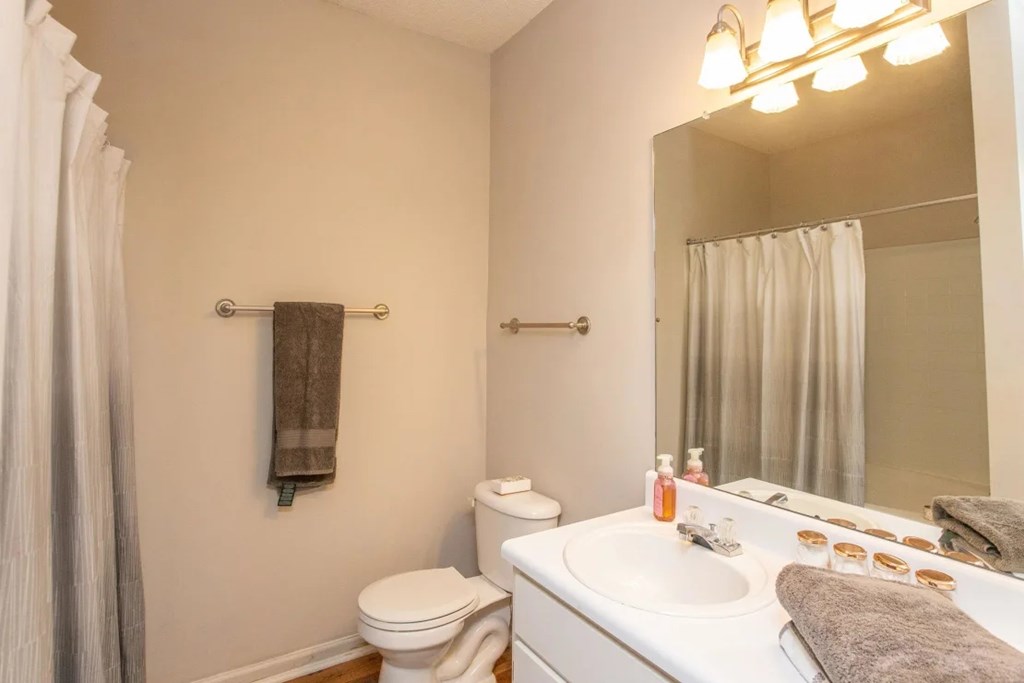 A bathroom with a toilet, sink, and mirror.