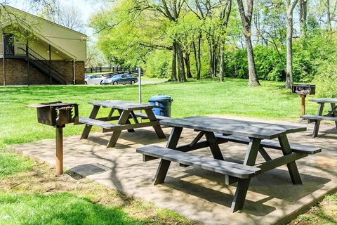 Picnic tables and benches are set up in a grassy area.