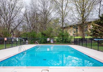 A swimming pool surrounded by a black fence and trees.