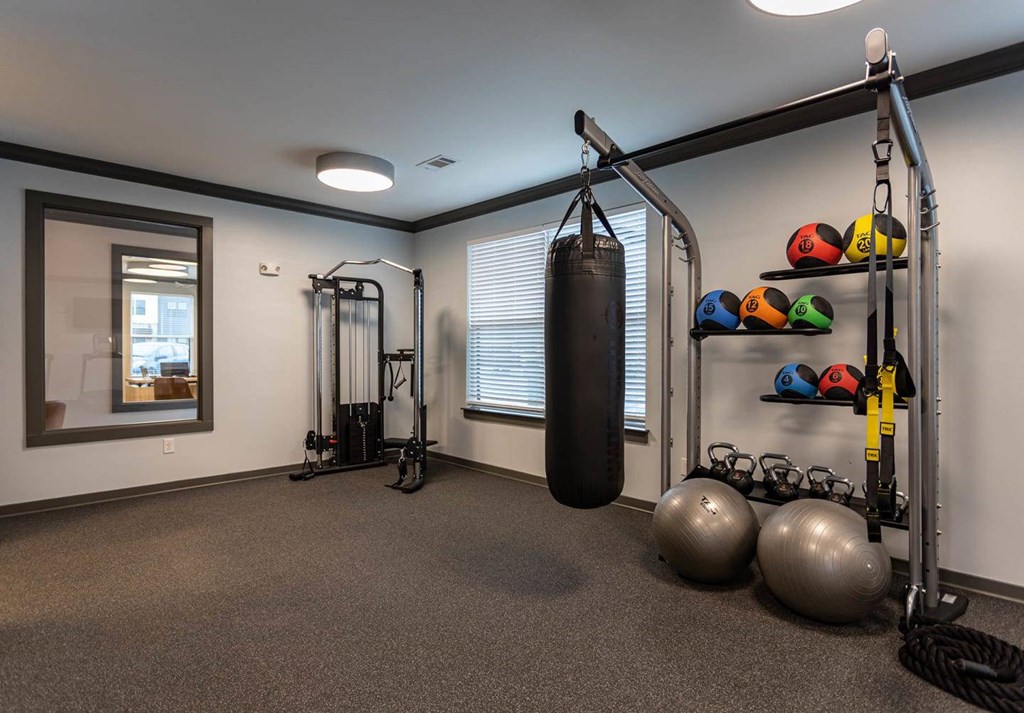 A well-equipped gym with a punching bag, exercise balls, and a rack of resistance bands.