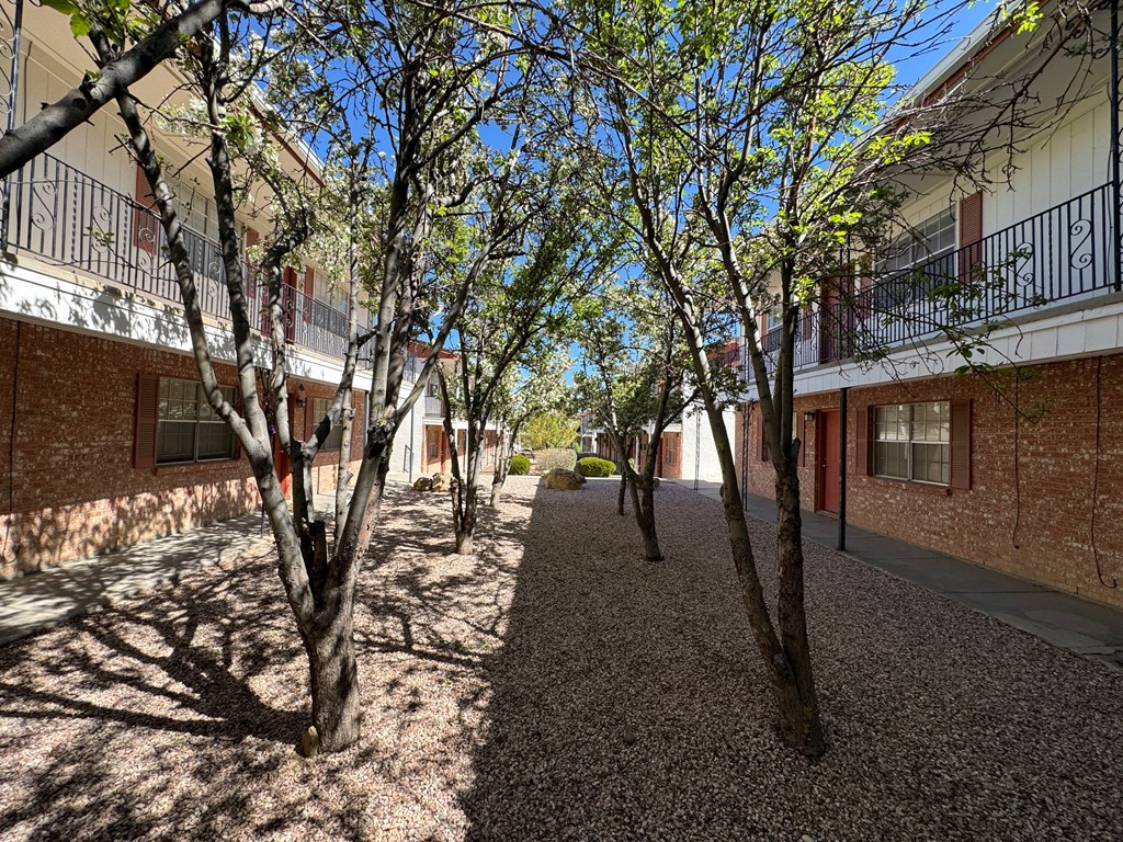 a courtyard between two buildings with trees in the middle