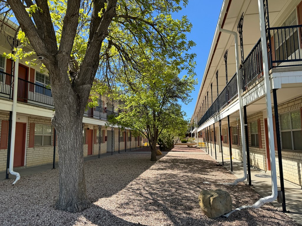 a courtyard between two buildings with trees and a rock