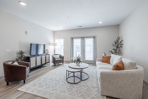 A living room with a brown chair, a white couch, and a rug.