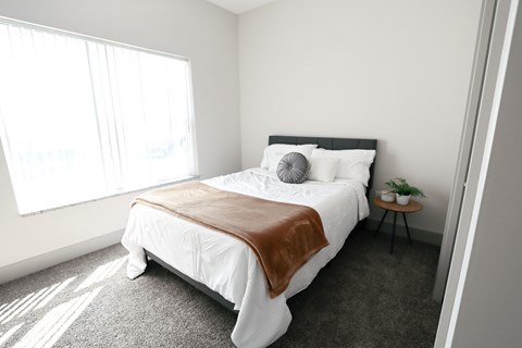 A bedroom with a large bed and a small table with a plant on it.