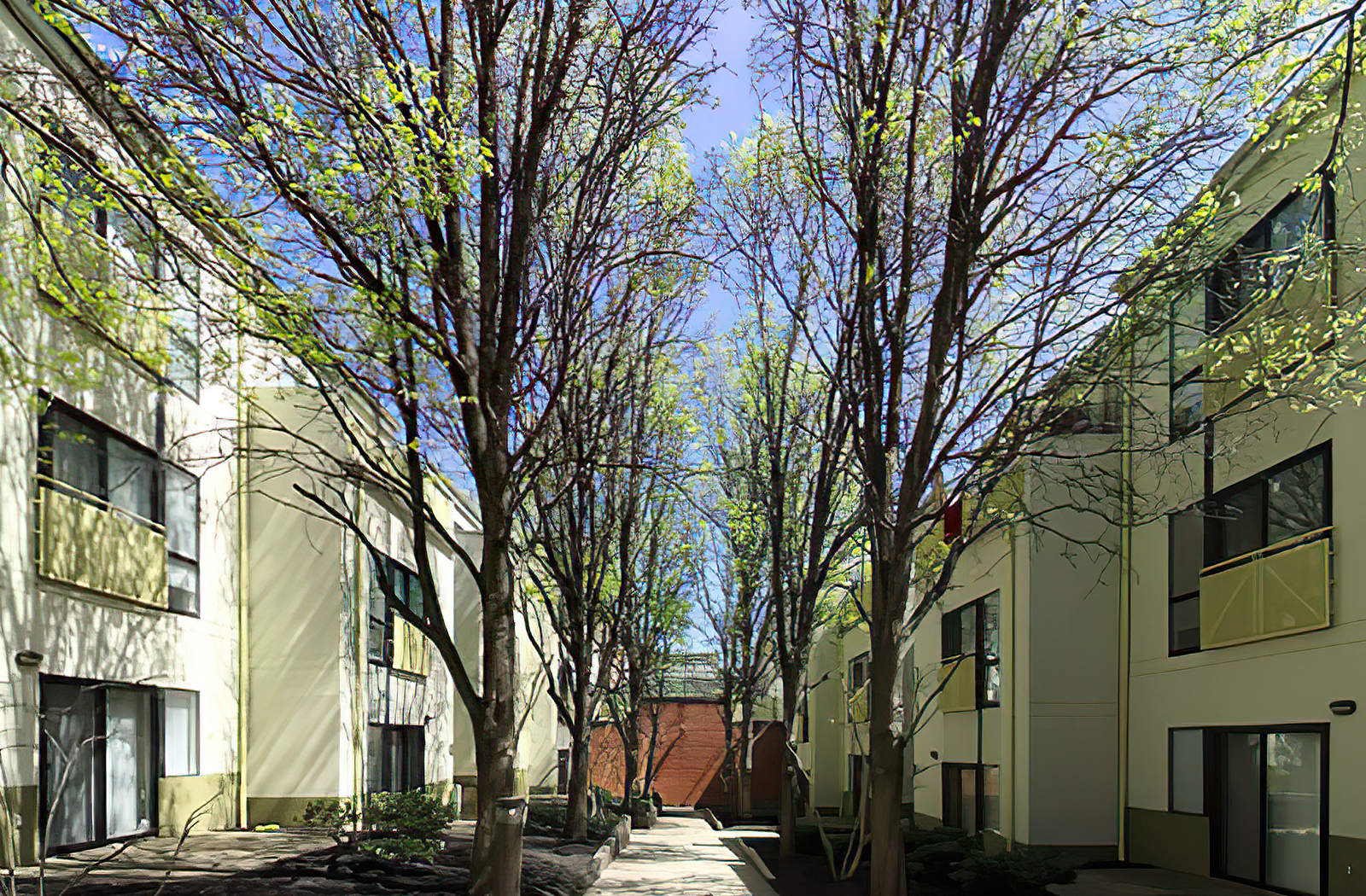 Mulberry Court Apartments