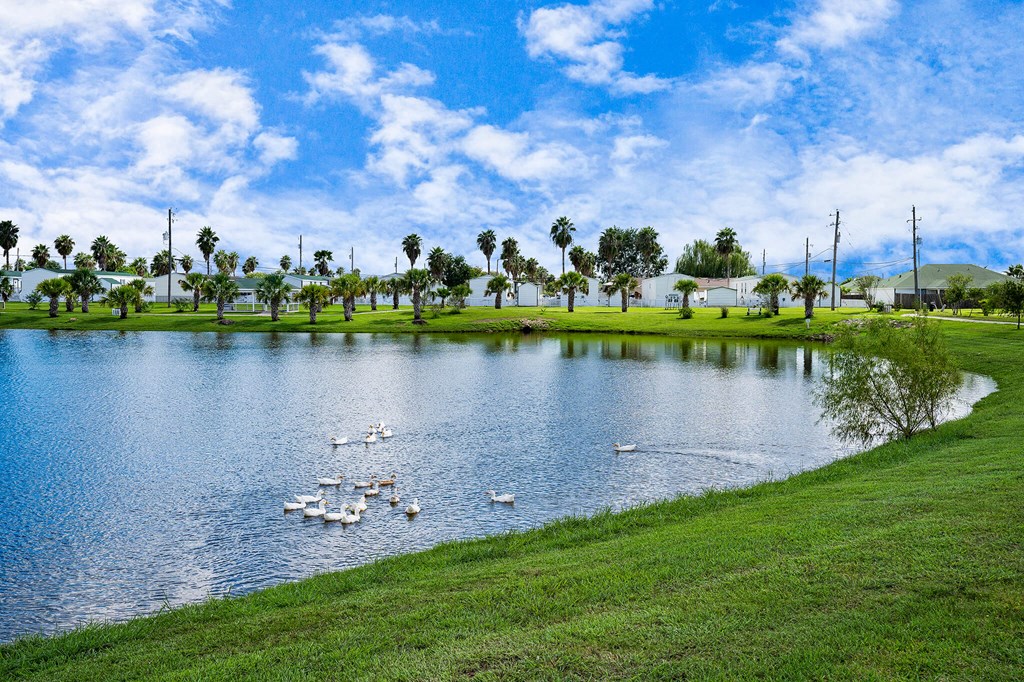 Community Fishing Lake and Walking Trail