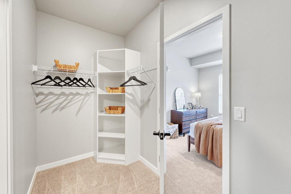 Large Walk-In Closet