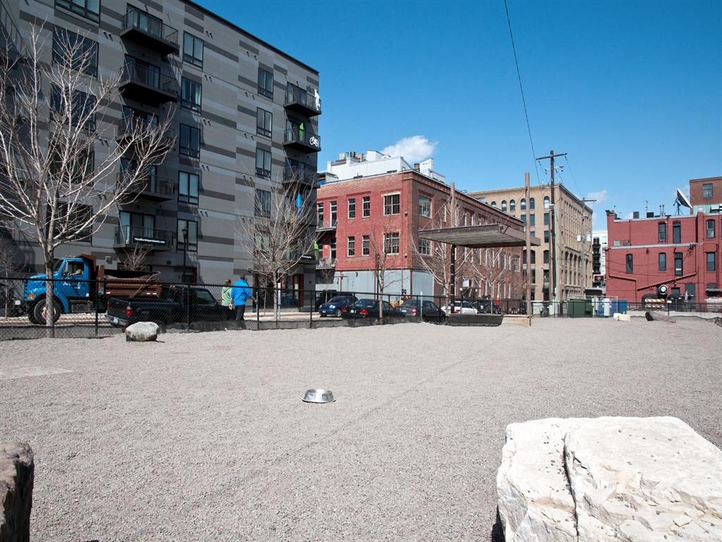fenced in dog park in the north loop