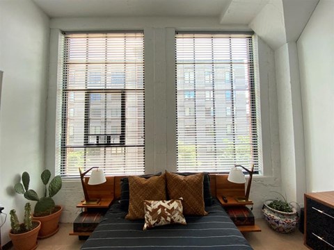 Tons of Natural Light