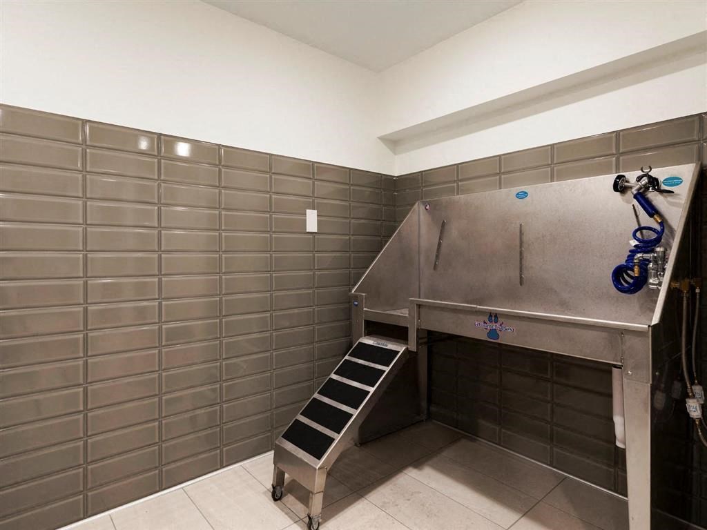 dog wash and grooming station