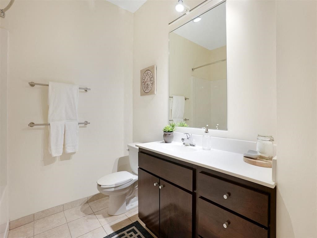 renovated bathroom with ceramic tile and custom paint