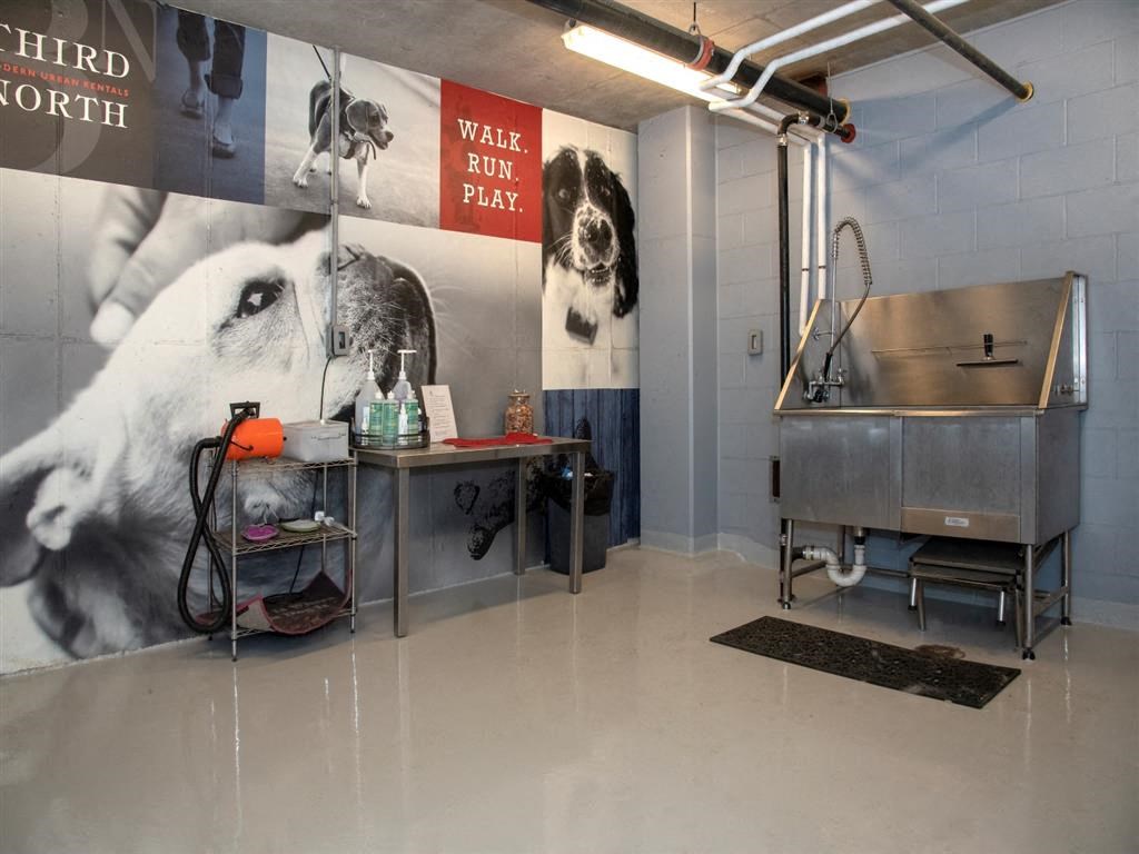 dog wash and grooming station