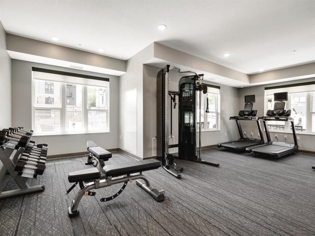 the apartments at masse corner 205 fitness room