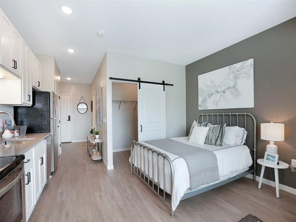 carpeted bedroom with sliding barn door and gray accent wall