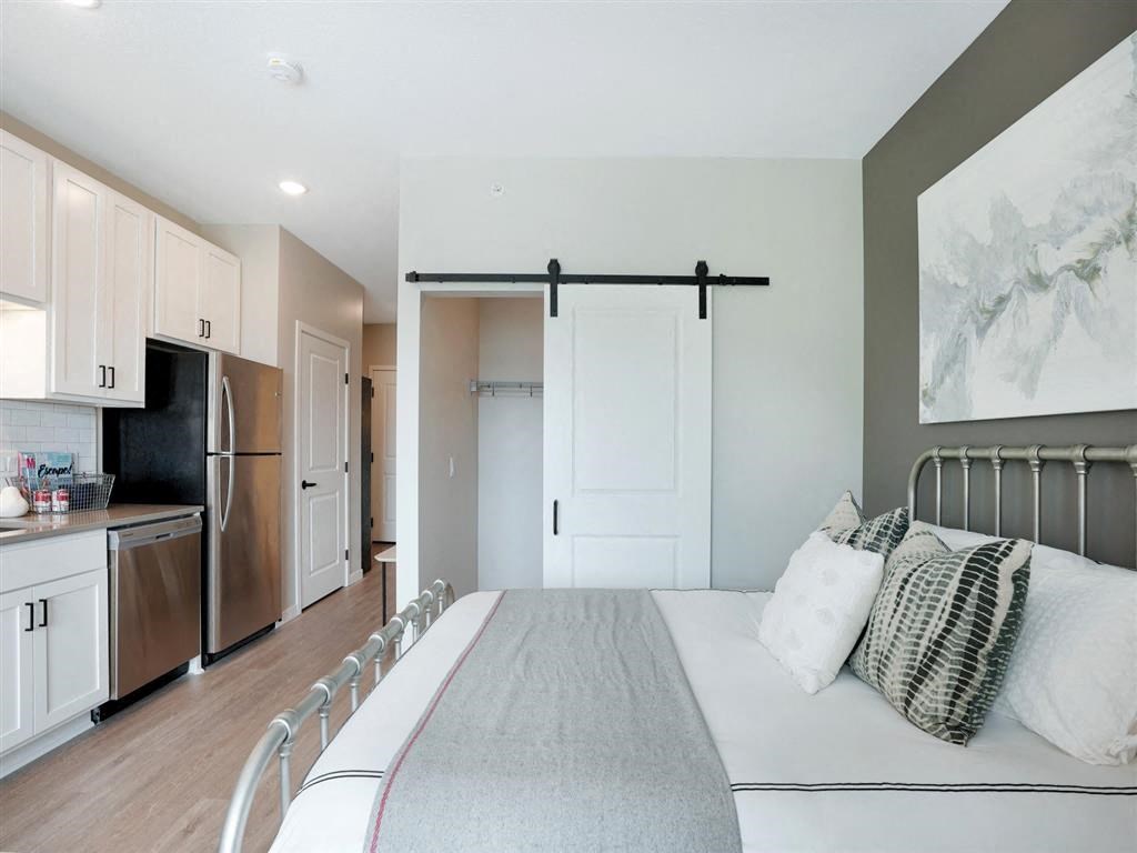 Bedroom with sliding barn door