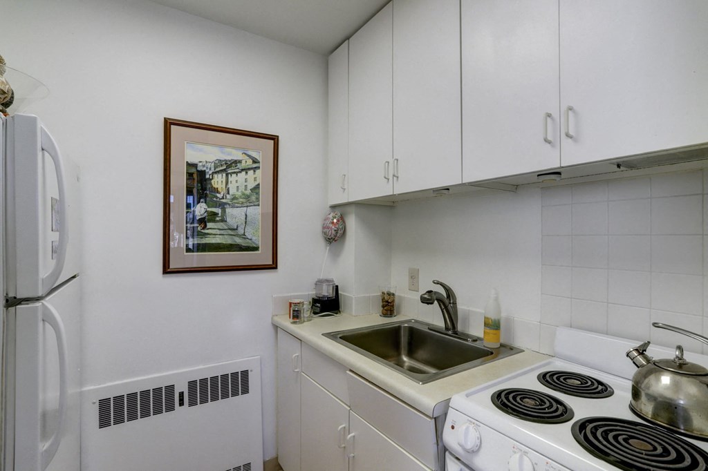 a kitchen with a sink and a stove and a refrigerator