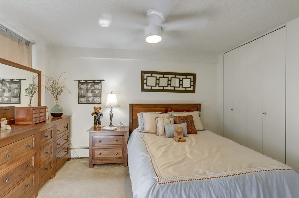 a bedroom with a bed and dressers and a closet