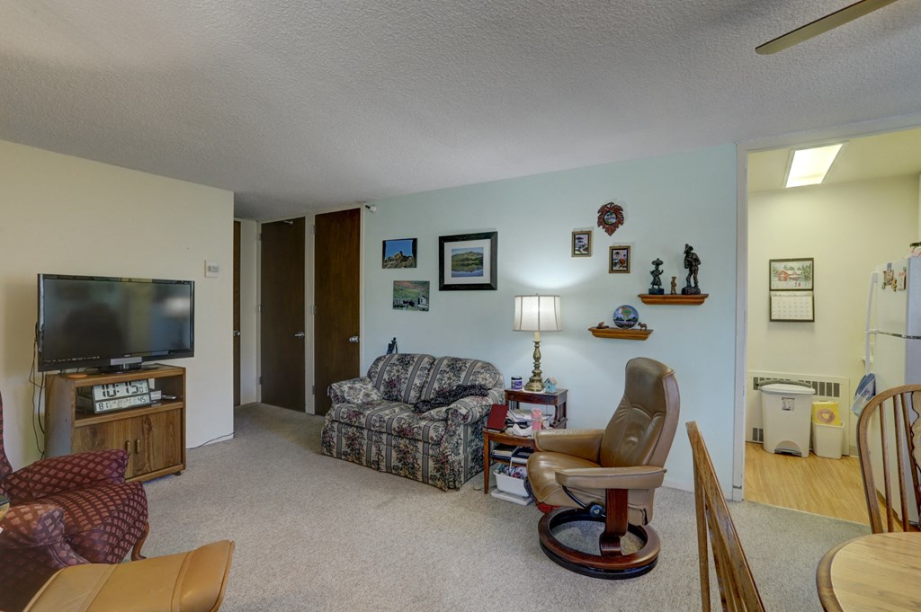 a living room with a couch and a chair and a television