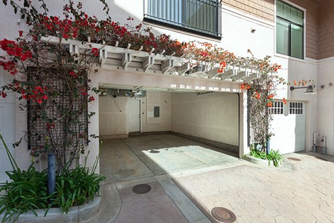 A patio with a pool and plants.