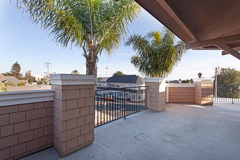 A palm tree stands in a courtyard with a black fence.