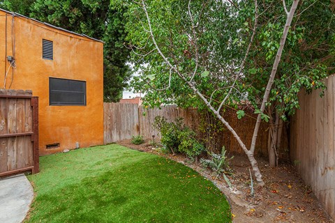 A backyard with a green lawn and a brown fence.