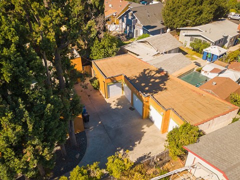 A backyard with a pool and a tree.