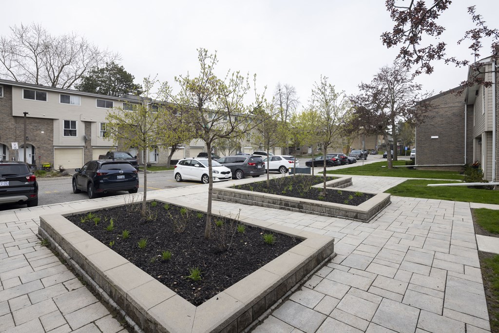 A view of a courtyard with a few trees and a few cars. A view of a courtyard with a few trees and a few cars.