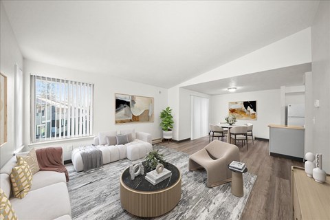 Staged Living Area