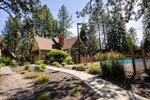 A house with a brown roof is surrounded by trees and has a pool in the backyard.