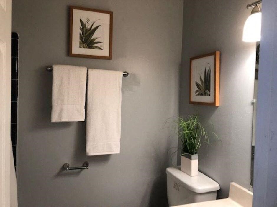 a bathroom with a toilet and two hanging towels