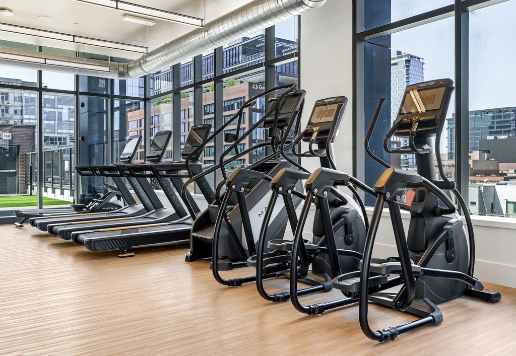 a row of cardio equipment in a fitness room with large windows