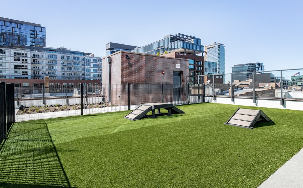 a grassy area on a roof with city buildings in the background