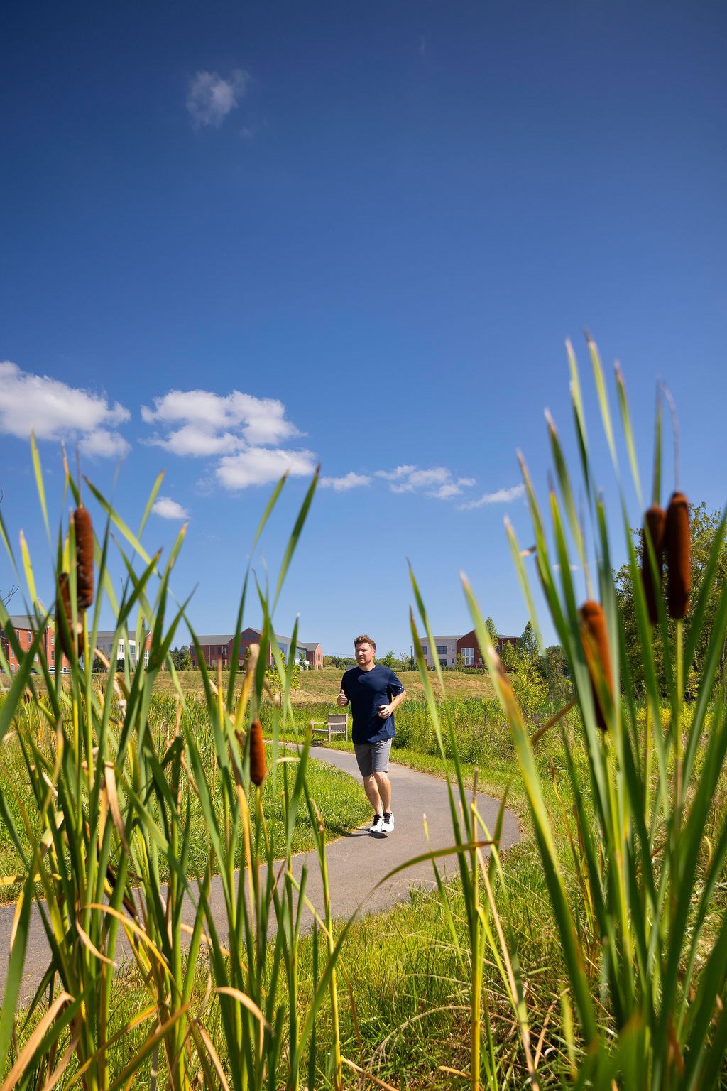 A man is walking on a pathway surrounded by tall green plants.