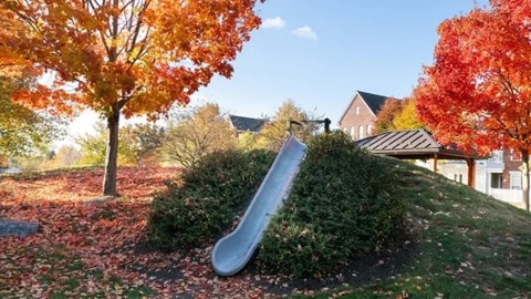 A playground with a slide surrounded by trees with autumn leaves.