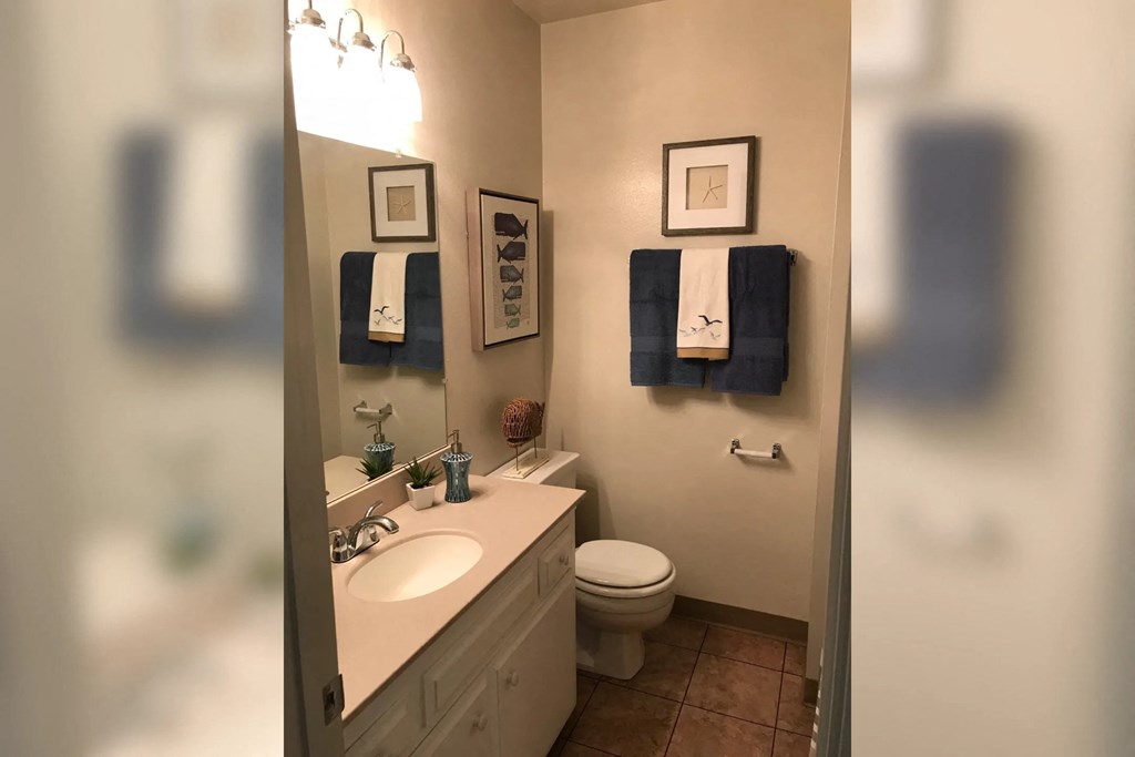 a bathroom with a sink and a toilet and a mirror
