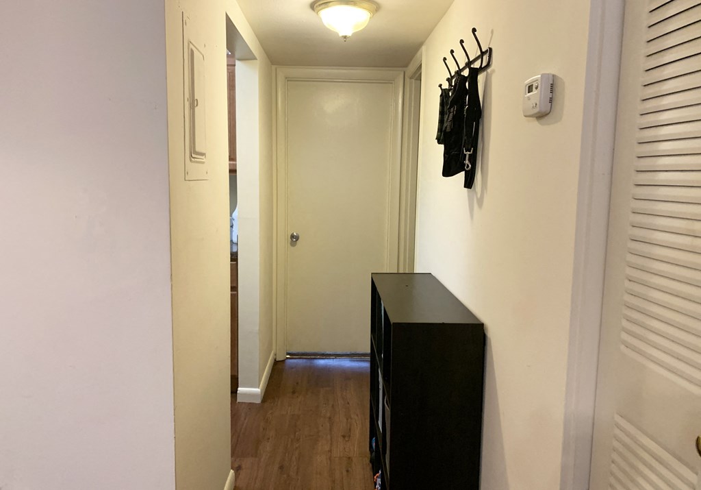 a very sunny room, about 20 sqm with a window. a