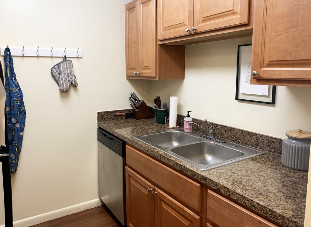 a kitchen with a sink and a dishwasher