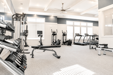 A gym with a variety of equipment including a treadmill, weights, and a bench press.