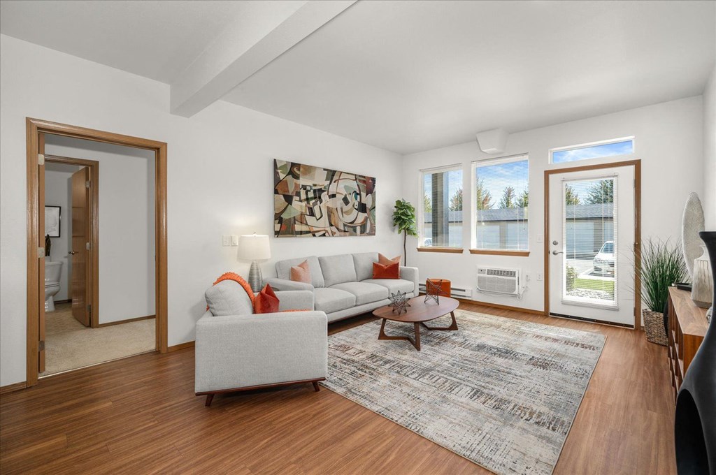 a living room with a couch and a rug