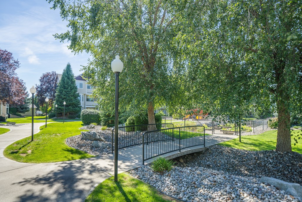 a bridge over a creek in a park with trees