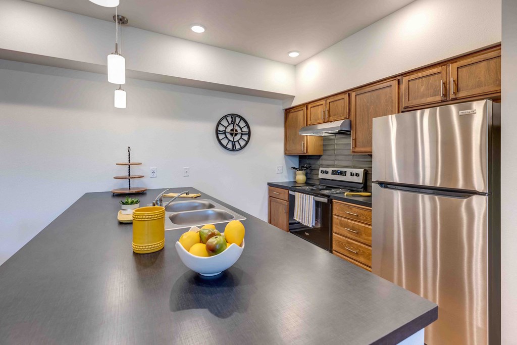 our apartments showcase a modern kitchen