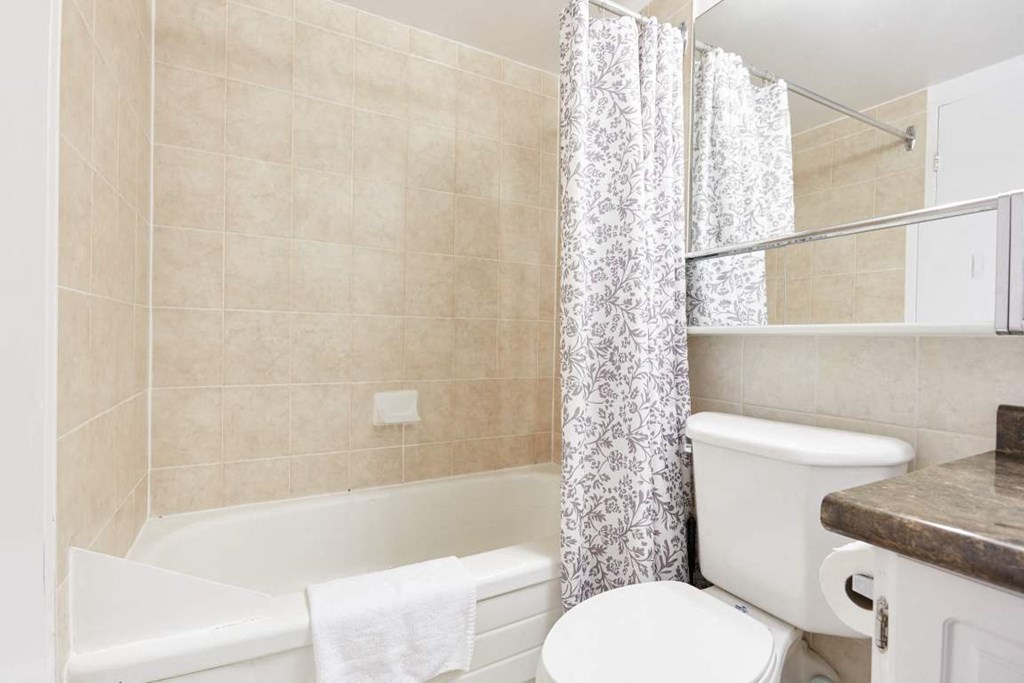 a bathroom with a toilet and a bath tub