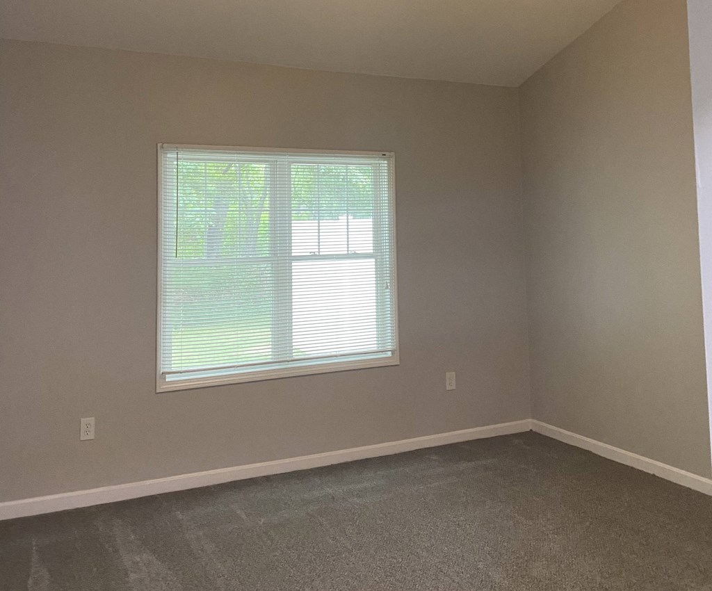 a living room with a window and a carpet