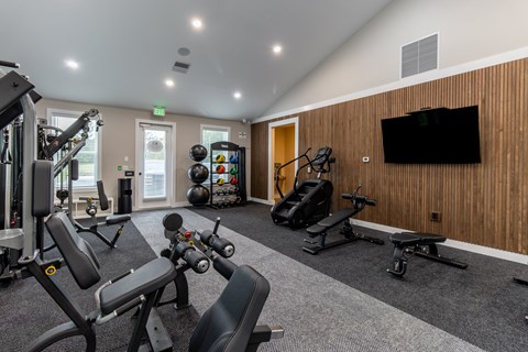 A gym with a variety of equipment including a treadmill, weights, and a bench press.