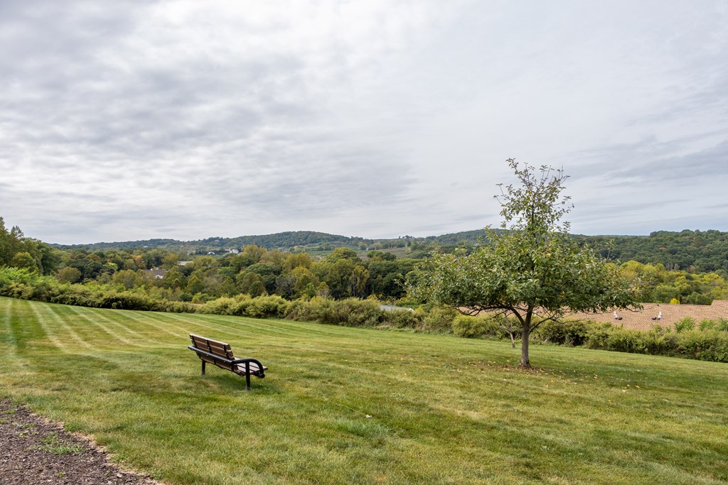 a park bench sitting in the grass next to a tree