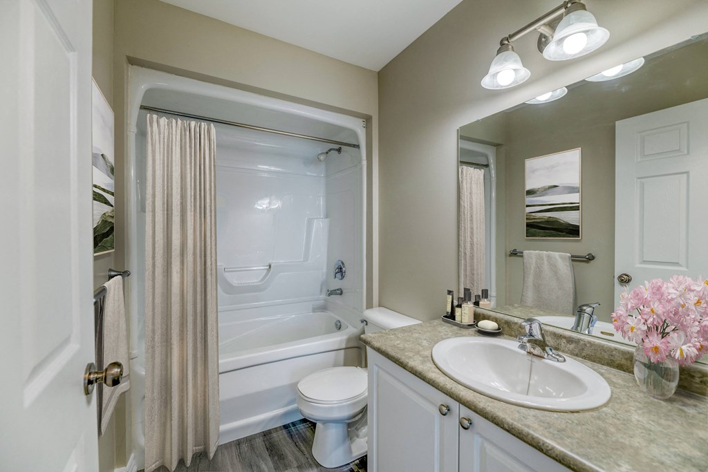 a bathroom with a shower toilet and sink