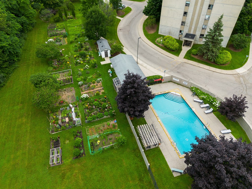 a backyard with a swimming pool and a garden