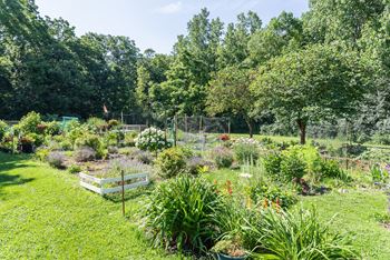 A garden with a white fence and a variety of plants.