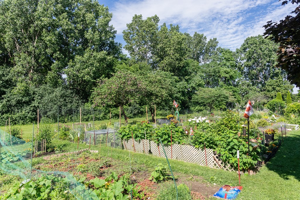 a garden in a yard with trees and a fence